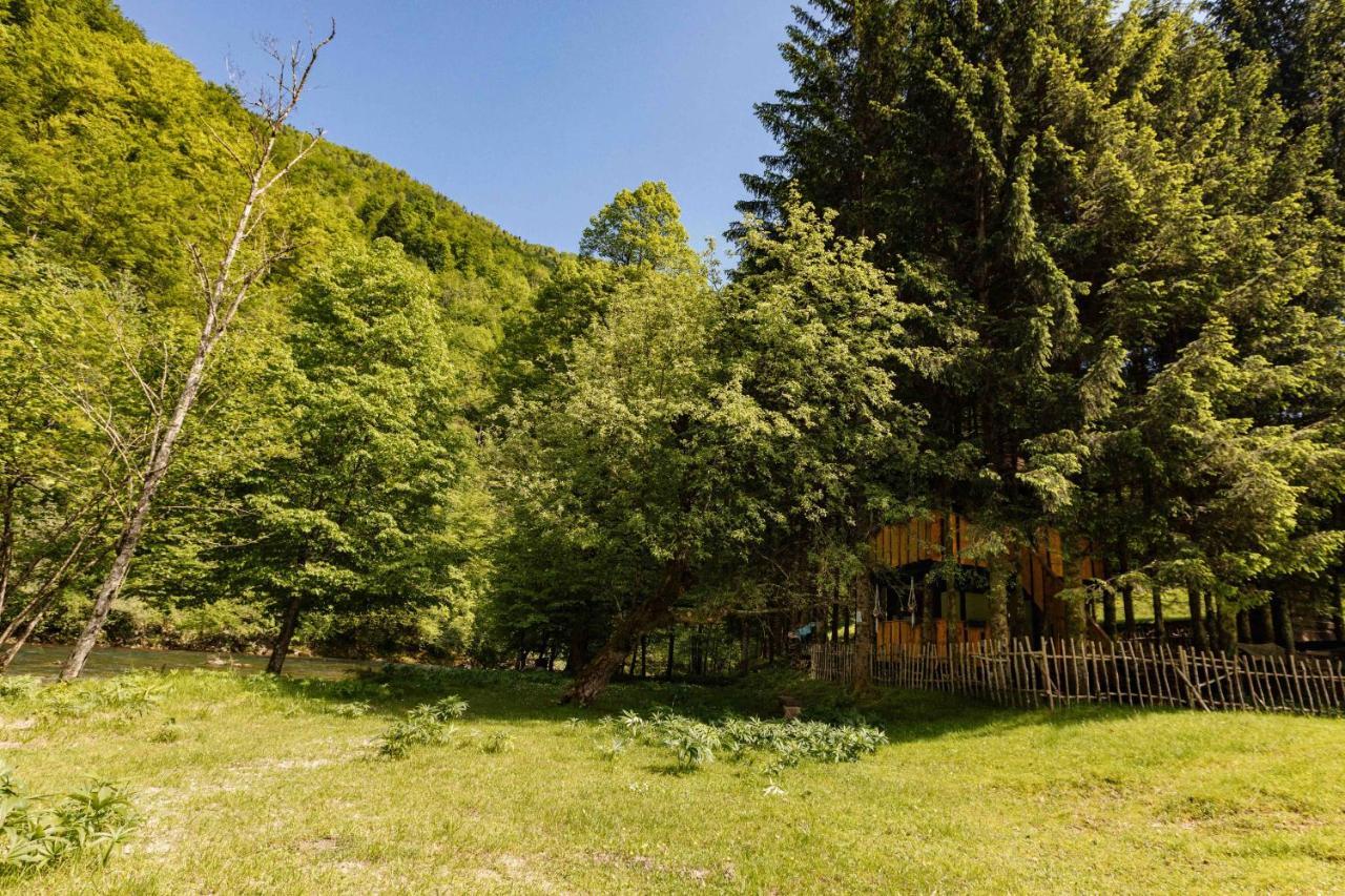 Treehouse Kupari Nacionalni Park Risnjak Cabar Экстерьер фото
